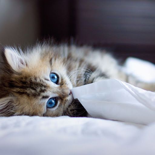 Hd-167447-ascw167447