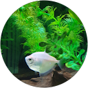 Robbie Matthews profile picture