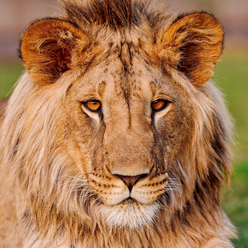 Hd-154249-ascw154249