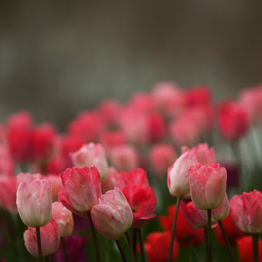 Hd-141753-ascw141753