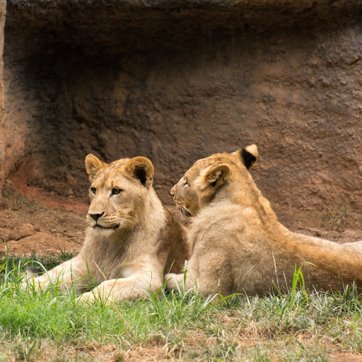 Hd-164949-ascw164949