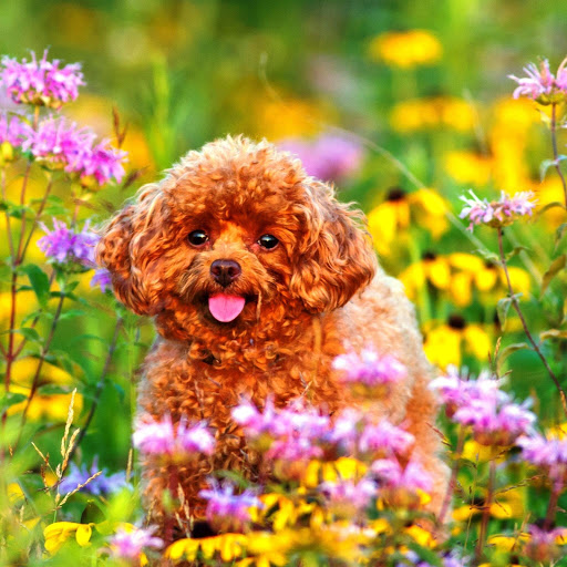 Hd-148674-ascw148674