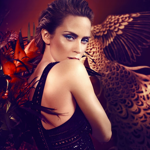 Hd-185013-ascw185013