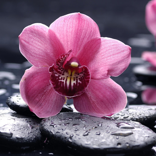 Hd-184257-ascw184257