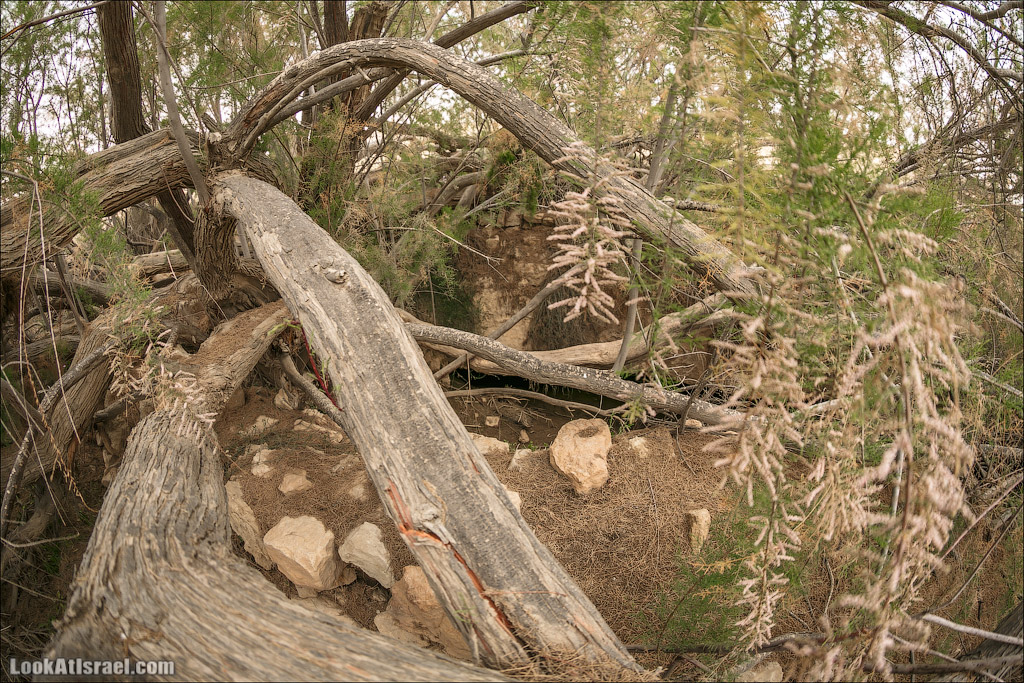 Водоёмы (колодцы) Луц | Lutz cisterns | בורות לוץ | LookAtIsrael.com - Фото путешествия по Израилю