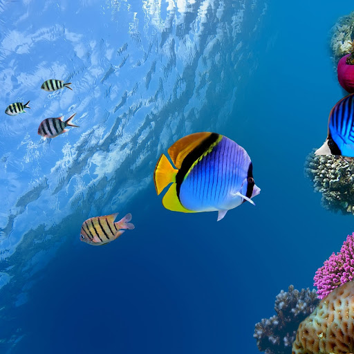 Hd-166985-ascw166985