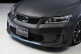 Wald-Lexus-CT-200h-6