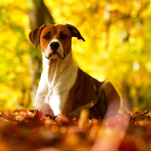 Hd-142655-ascw142655