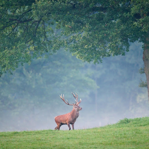 Hd-132130-ascw132130