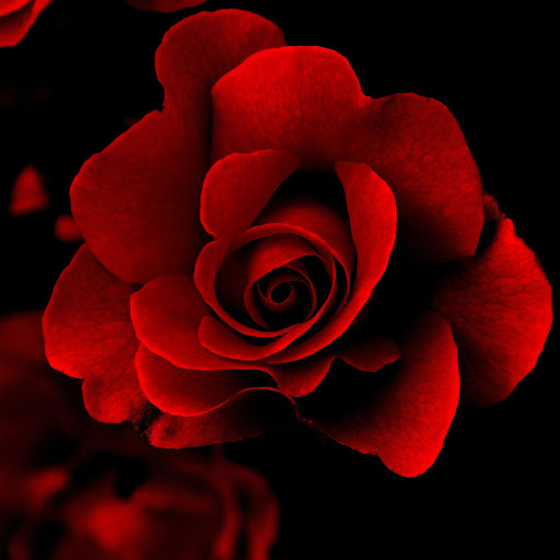 Hd-162232-ascw162232