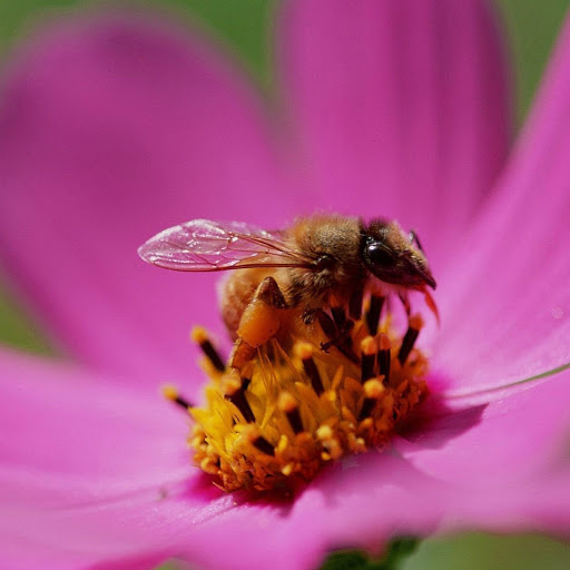 Hd-180122-ascw180122