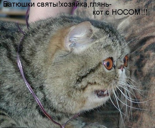 [kotomatrix_035%255B6%255D.jpg]