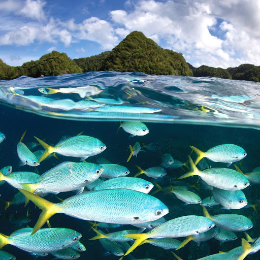 Hd-160967-ascw160967