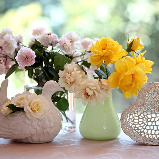 Hd-165182-ascw165182