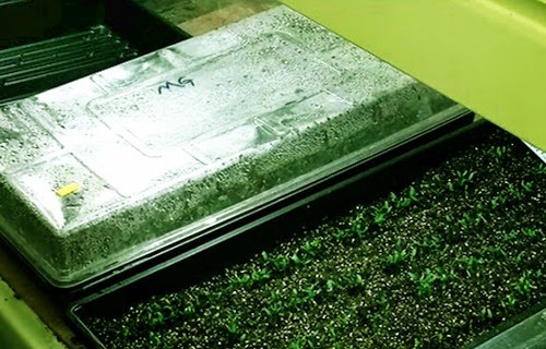 [clip_image006%255B3%255D.jpg]