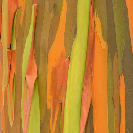 Hd-162104-ascw162104