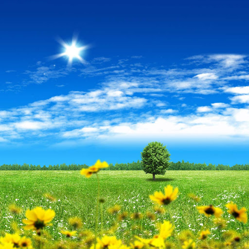 Hd-139495-ascw139495