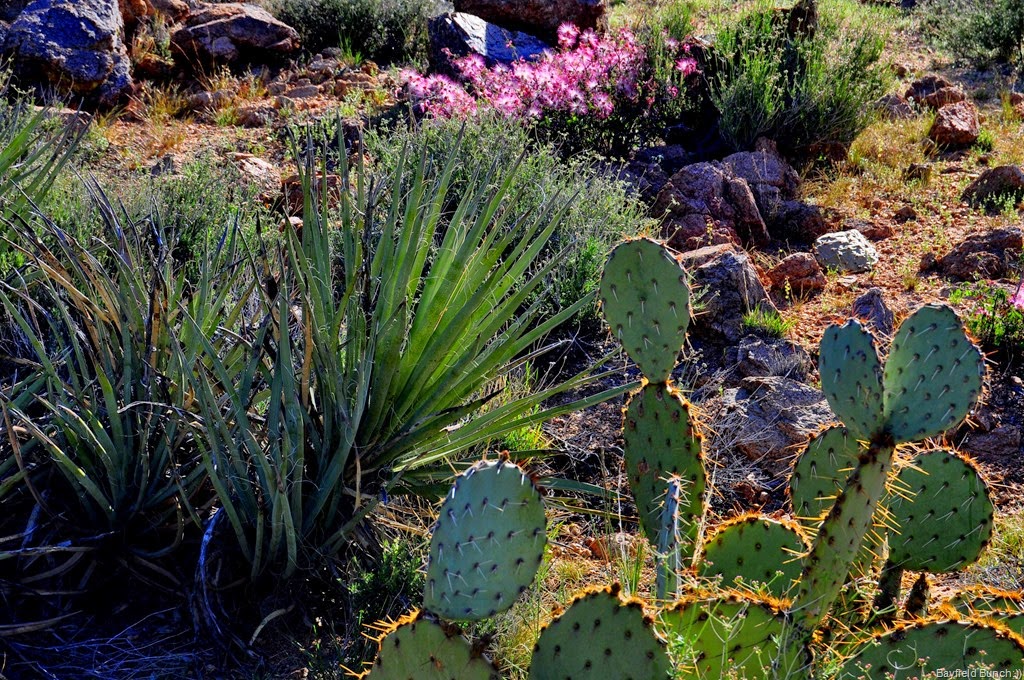 [DSC_0051%255B3%255D.jpg]