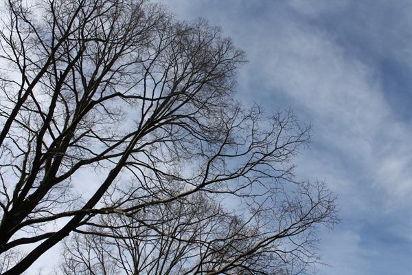 IMG_3084 IMG_3084