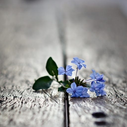 Hd-164618-ascw164618