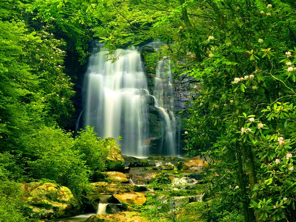 [waterfall-in-green-forest%255B7%255D.jpg]