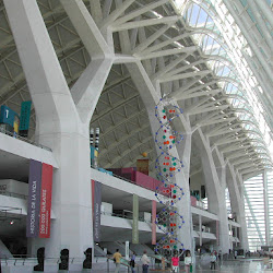42.- Calatrava. Museo de Ciencias