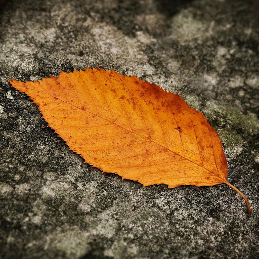 Hd-152814-ascw152814