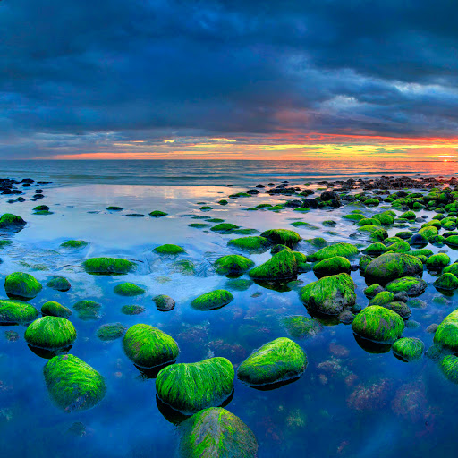 Hd-137907-ascw137907