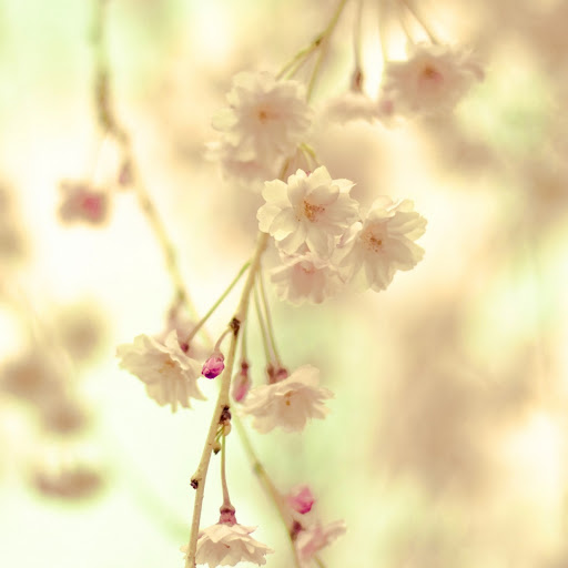 Hd-158977-ascw158977