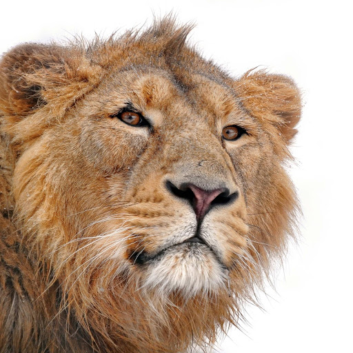 Hd-174470-ascw174470