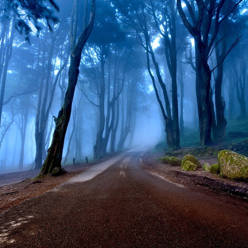 Hd-167912-ascw167912