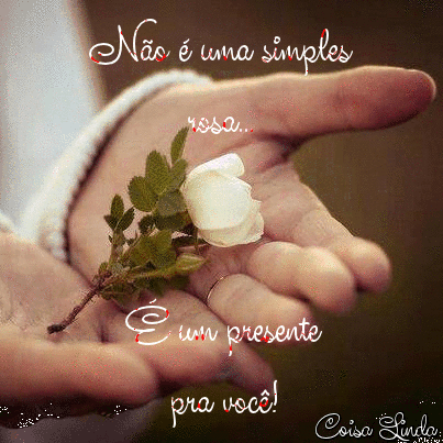 carinho.gif