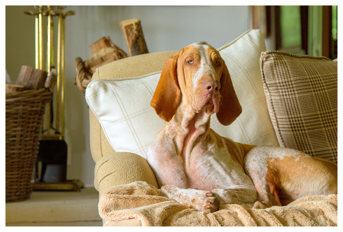 [image%255B252%255D.png]