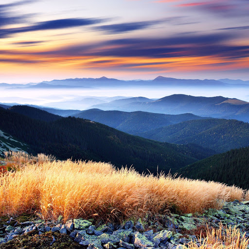 Hd-186371-ascw186371