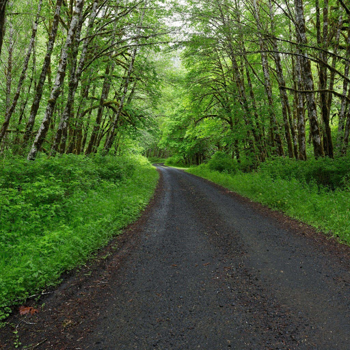 Hd-131477-ascw131477