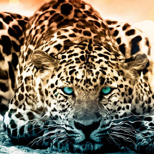 Hd-180319-ascw180319