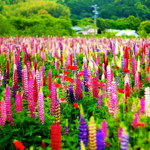 Hd-152507-ascw152507