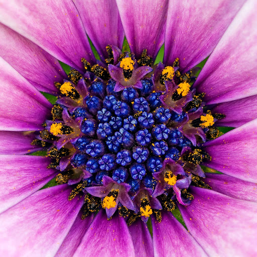 Hd-141697-ascw141697