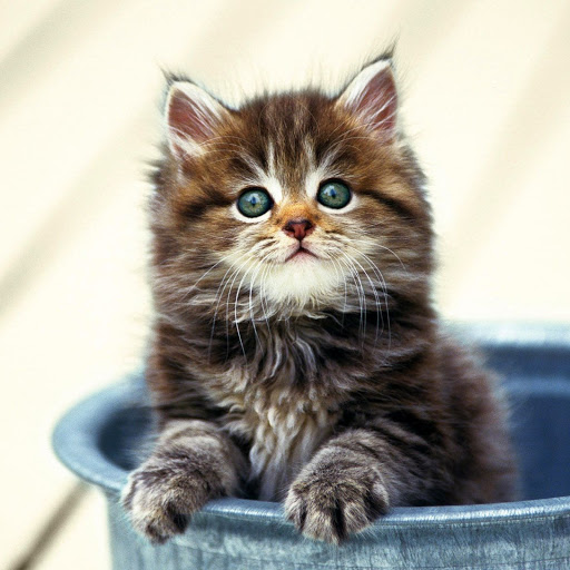 Hd-147163-ascw147163