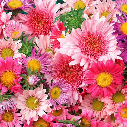 Hd-139717-ascw139717