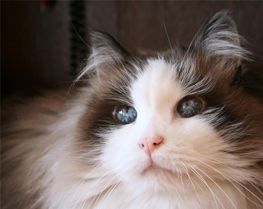 [bf4e4450b5dct%255B3%255D.jpg]