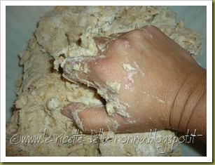 Caserecce di pasta madre con farina bianca e farina d'orzo (3)