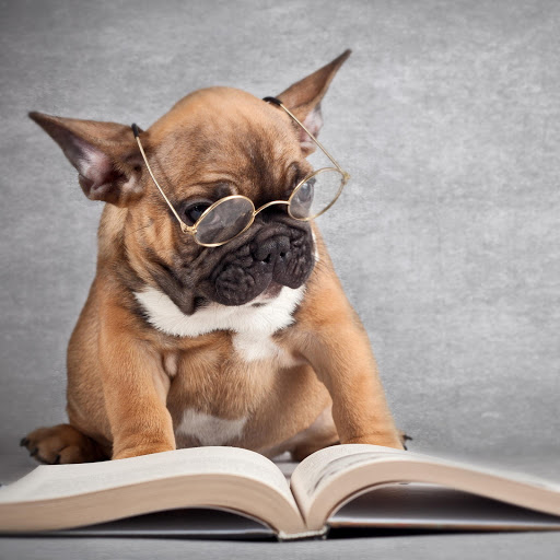 Hd-160519-ascw160519