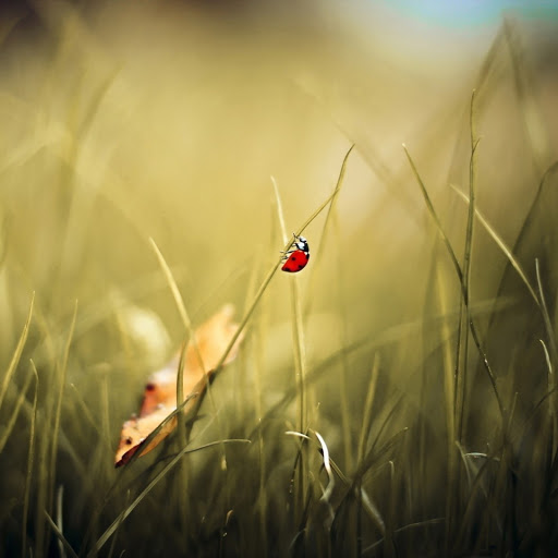 Hd-138140-ascw138140