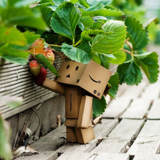 Hd-146178-ascw146178