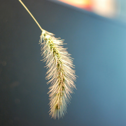 Hd-171148-ascw171148