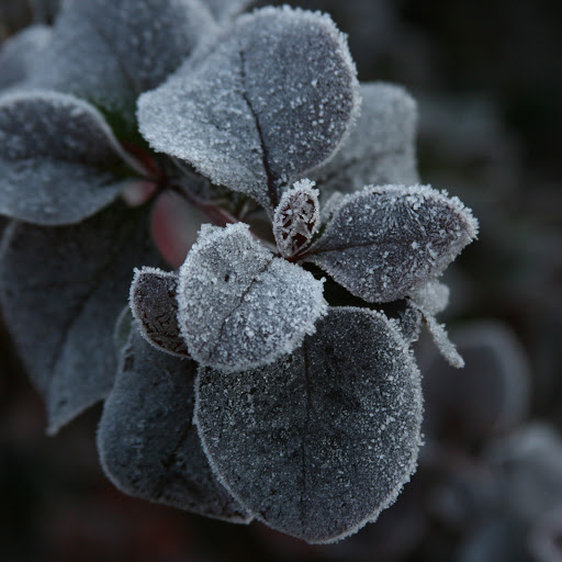 Hd-171865-ascw171865