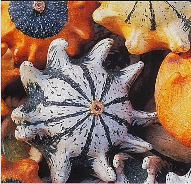 [image%255B2%255D.jpg]