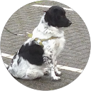 Jan Wemmenhove profielfoto