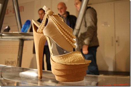Shoes for Show-10
